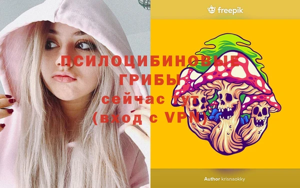 МДМА Алексеевка