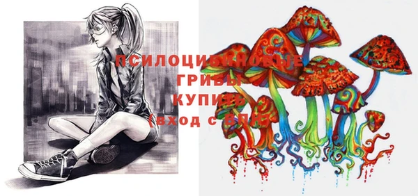 синтетический гашиш Алексин