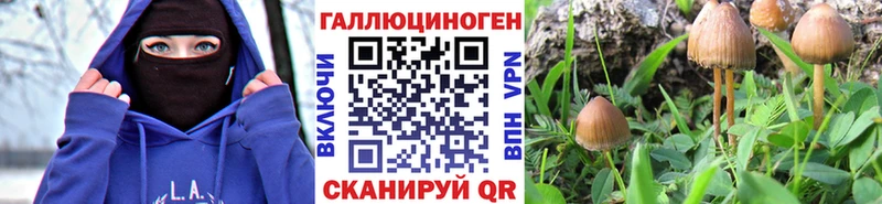 Псилоцибиновые грибы мицелий  Николаевск 